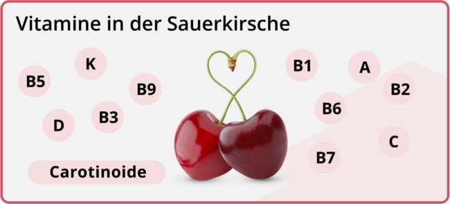 Sauerkirschen enthalten lebensnotwendige Vitamine wie A, B1, B2, B6, C und Carotinoide.